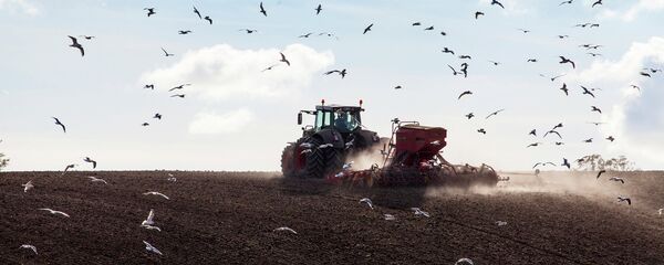 Рад на њиви Рад на њиви - Sputnik Србија