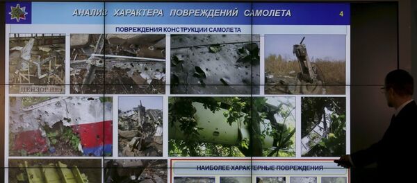 Малезијски авион МХ-17 - Sputnik Србија