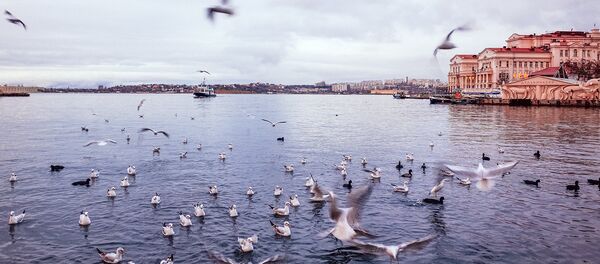 Крим - Sputnik Србија