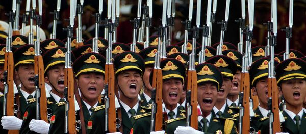 Kineska vosjka - Sputnik Srbija