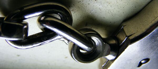 Полицијске лисице - Sputnik Србија