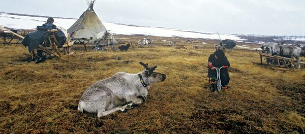 Место за камповање узгајивача ирваса - Sputnik Србија