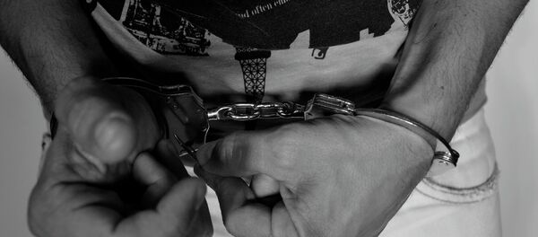 Хапшење-илустрација - Sputnik Србија