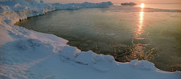 Арктик - Sputnik Србија
