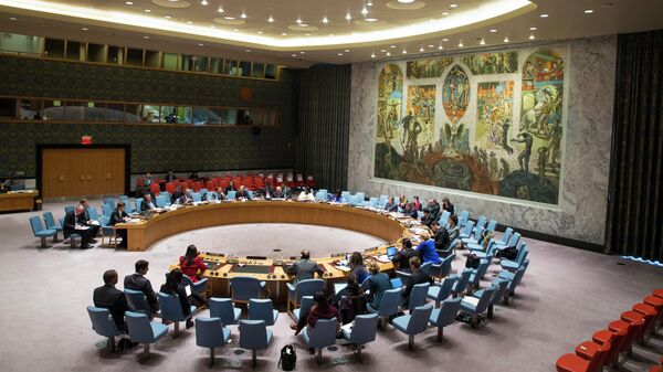 Savet bezbednosti UN - Sputnik Srbija