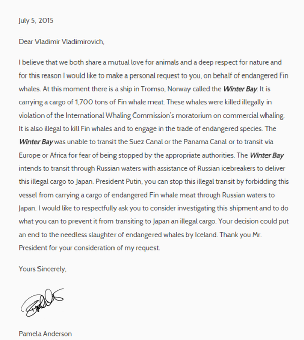 Pismo Pamele Anderson predsedniku Putinu Pismo Pamele Anderson predsedniku Putinu - Sputnik Srbija