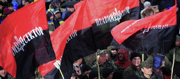 Desni sektor - Sputnik Srbija