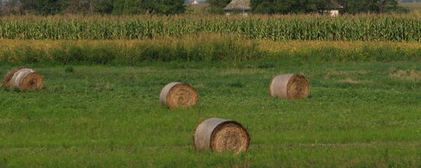 Salaš u Vojvodini - Sputnik Srbija