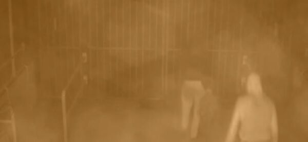 Осумњичени за цртање кукастог крста на Пољуду - Sputnik Србија