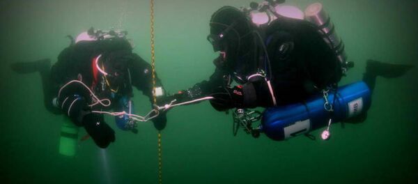 Рониоци Рониоци - Sputnik Србија