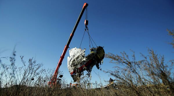 Malezijski avion MH17  - Sputnik Srbija