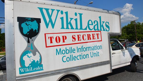 Викиликс камион - Sputnik Србија