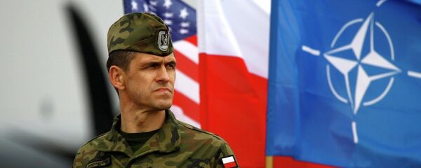 Пољски војник стоји у близини пољске и НАТО заставе - Sputnik Србија