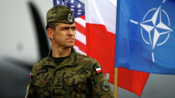 Пољски војник стоји у близини пољске и НАТО заставе - Sputnik Србија
