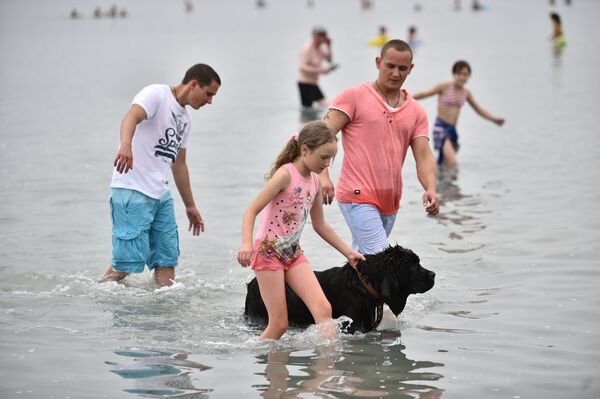 Породица није знала да је она писала Путину - Sputnik Србија