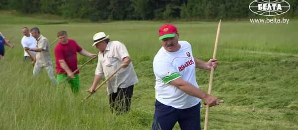 Александар Лукашенко и Жерар Депарђе косе траву Александар Лукашенко и Жерар Депарђе косе траву - Sputnik Србија