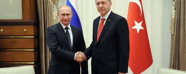 Vladimir Putin i Redžep Tajip Erdogan u Ankari 1. decembra 2014. Vladimir Putin i Redžep Tajip Erdogan u Ankari 1. decembra 2014. - Sputnik Srbija