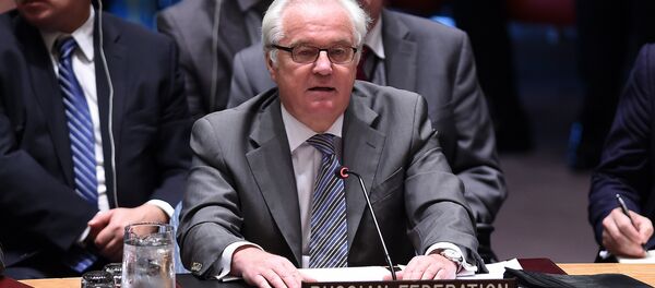 Vitalij Čurkin - Sputnik Srbija