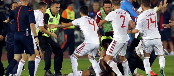 Neredi na utakmici Srbija - Albanija - Sputnik Srbija