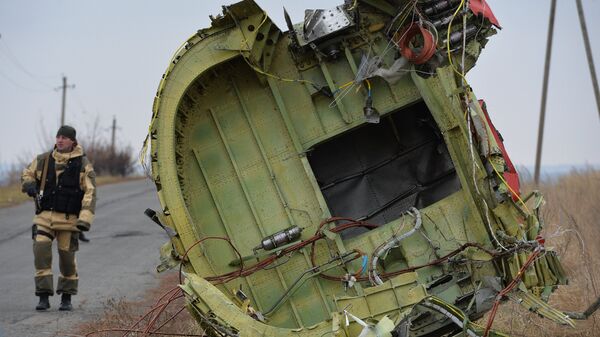 Deo olupine „boinga 777“ MH17 „Malezija erlajnsa“ - Sputnik Srbija