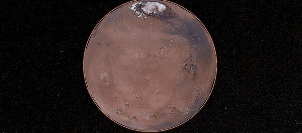 Марс трек - Sputnik Србија