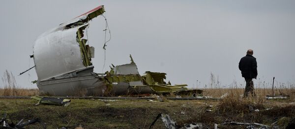 Olupina malezijskog boinga MH17 - Sputnik Srbija
