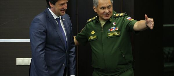 Bratislav Gašić i Sergej Šojgu - Sputnik Srbija