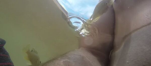 FISH BITES NIPPLE - HILARIOUS! - Sputnik Србија