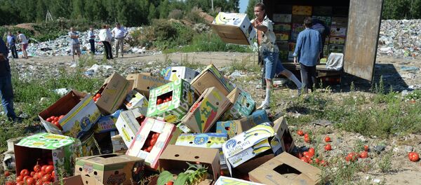 Uništavanje švercovane hrane u Rusiji - Sputnik Srbija