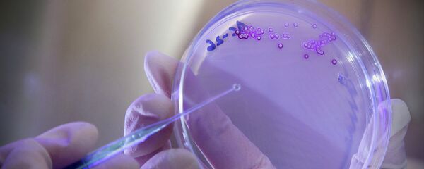 Бактерије - Sputnik Србија