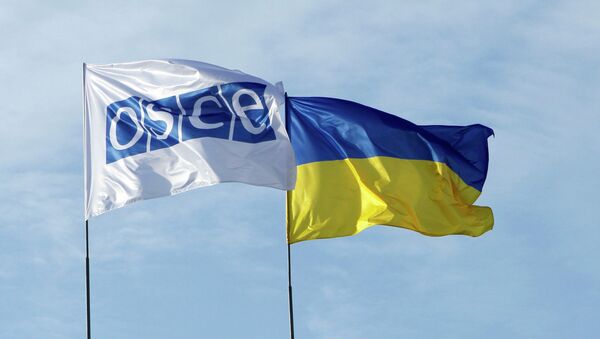 Zastave OEBS-a i Ukrajine - Sputnik Srbija