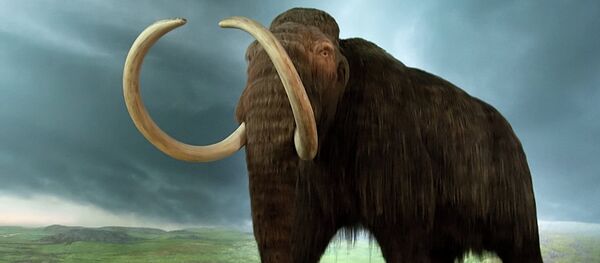 Мамут - Sputnik Србија