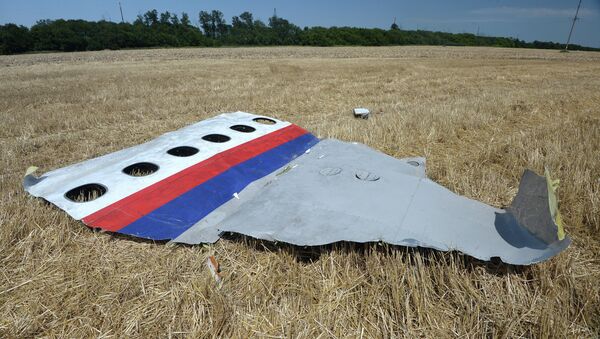 Olupina malezijskog boinga MH17 - Sputnik Srbija