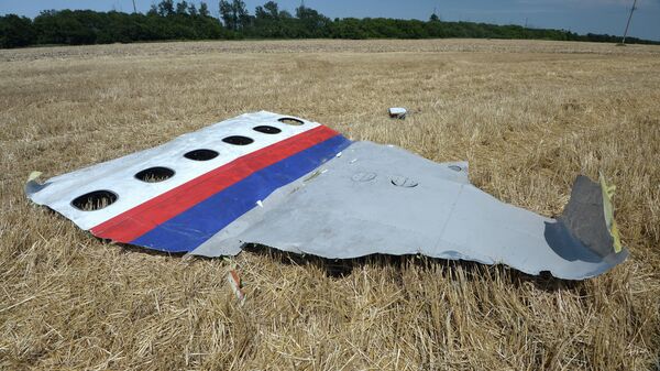 Наставља се потрага за малезијским авионом више од деценије након мистериозног нестанка