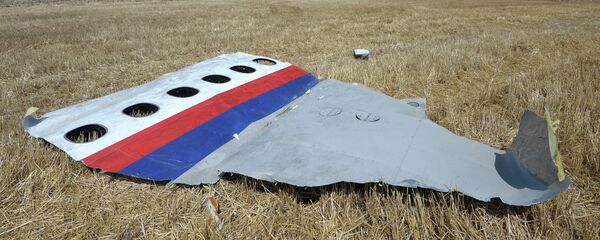 Олупина малезијског боинга МХ17 - Sputnik Србија