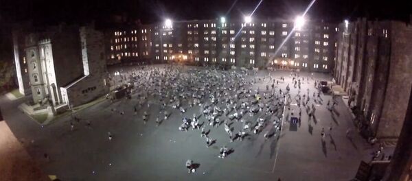 Borba jastucima, američki vojnici - Sputnik Srbija