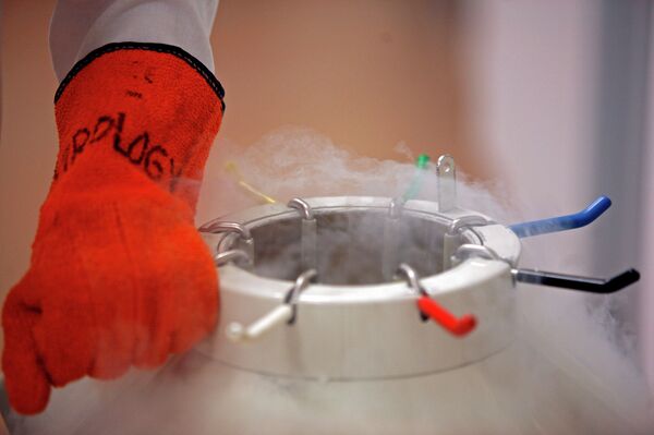 Матичне ћелије  - Sputnik Србија