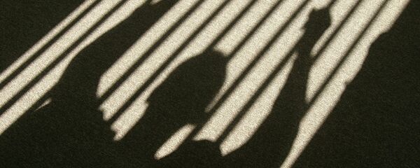 Zatvor Zatvor - Sputnik Srbija