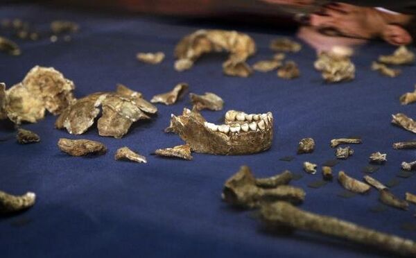 Научници су открили древну врсту у сродству са људима која је такође сахрањивала своје мртве - Sputnik Србија