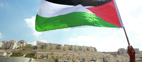 Zastava Palestine - Sputnik Srbija