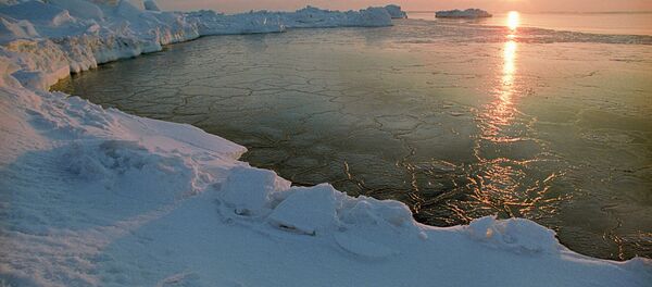 Арктик - Sputnik Србија