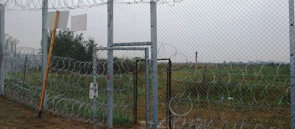 Podizanje ograde Podizanje ograde - Sputnik Srbija