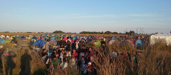 Migranti nadomak granice sa Mađarskom - Sputnik Srbija