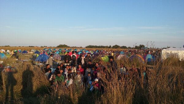 Мигранти надомак границе са Мађарском - Sputnik Србија