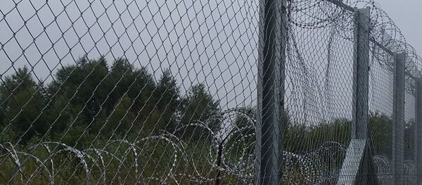 Жичана ограда Жичана ограда - Sputnik Србија