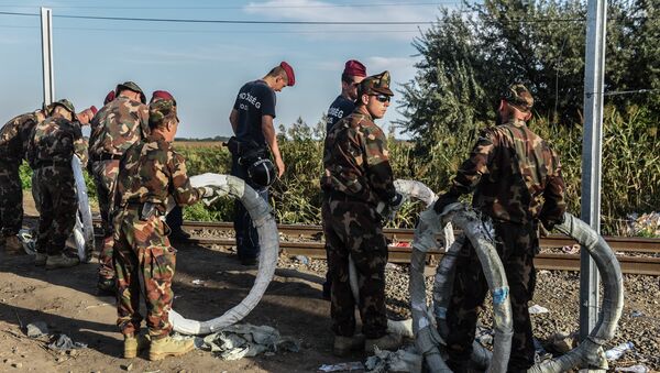 Mađarska policija na granici sa Srbijom - Sputnik Srbija