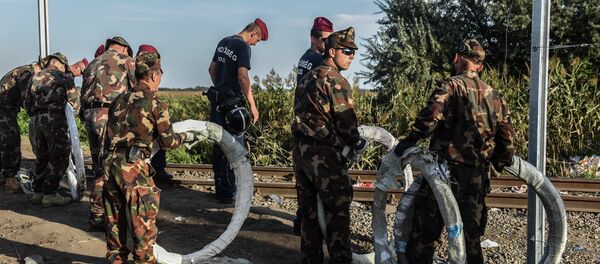 Мађарска полиција на граници са Србијом Мађарска полиција на граници са Србијом - Sputnik Србија