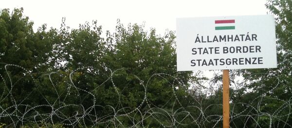 Ограда на граници Мађарске и Србије - Sputnik Србија