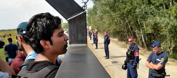 Избеглице гледају преко ограде на српско-мађарској граници Избеглице гледају преко ограде на српско-мађарској граници - Sputnik Србија