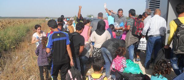 Izbeglice, granica Srbije i Hrvatske kod Šida i Tovarnika Izbeglice, granica Srbije i Hrvatske kod Šida i Tovarnika - Sputnik Srbija